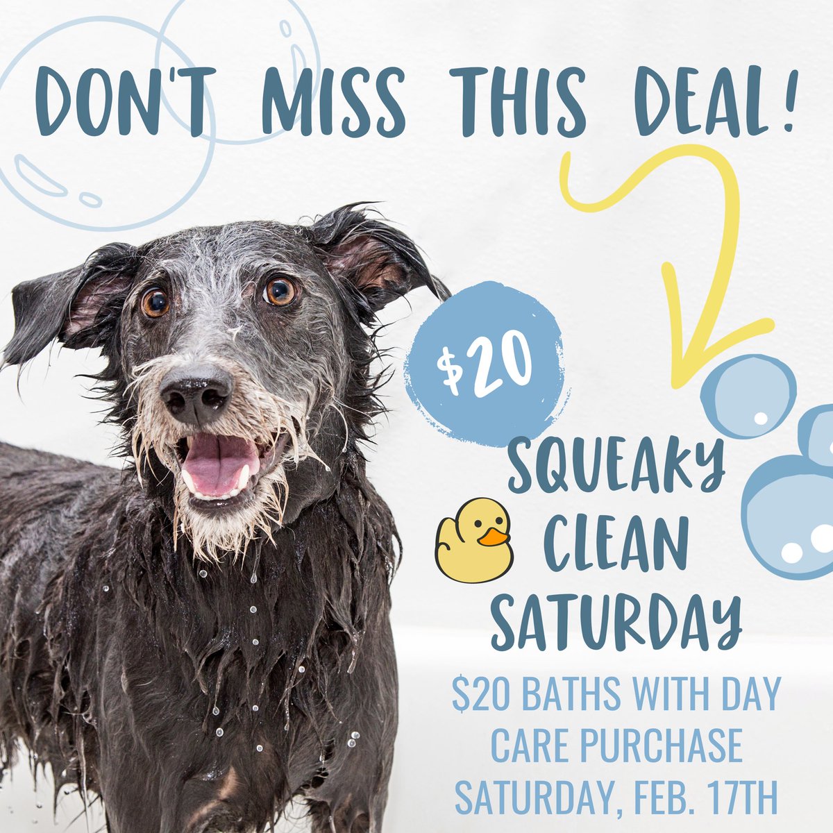 Tomorrow is squeaky clean Saturday!! Who needs a bath?🧼