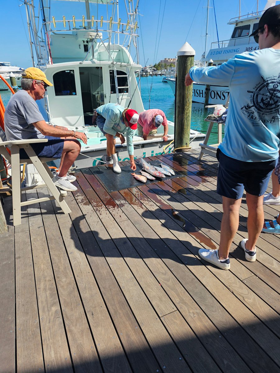 FlaKeysResorts's tweet photo. Calling all seafood lovers! 🎣 Experience the thrill of the catch at Key West's Historic Seaport Harbor Walk. Watch the fishermen unload their bounty from the charter boats! Which charter is your favorite? #KeyWest #HarborWalk #FreshCatch #SeafoodLovers #KeyWestSeaport #HistoricHarborWalk #CharterBoats