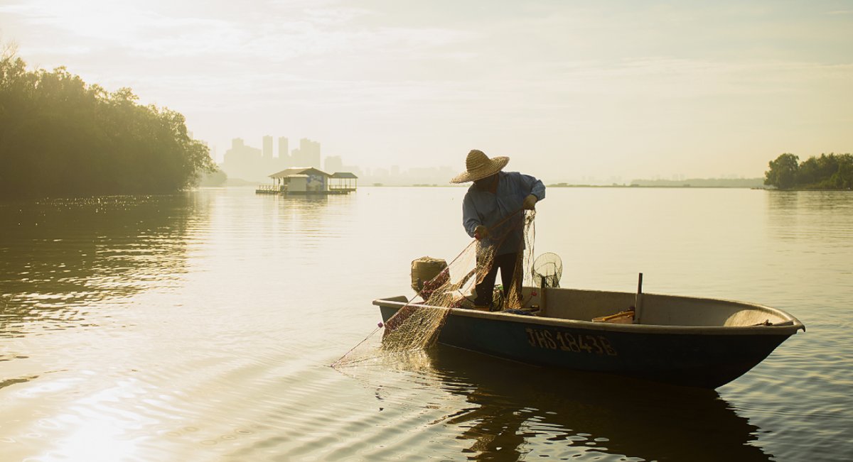 Kampung Sungai Melayu: A quaint Malay fishing village near Johor's border with Singapore, nestled in a mangrove forest, teeming with diverse wildlife. #malaysiaawaitsyou #malaysiatrulyasia #Johor #nature #birding #seafood