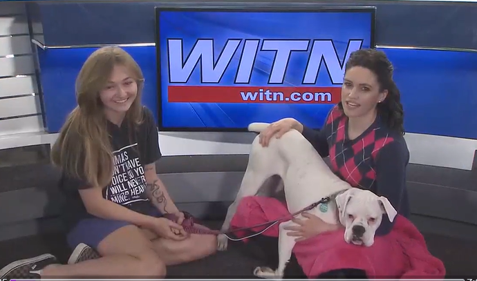nataliegparsons's tweet photo. Happy #FurBabyFriday!!! On this week's segment with the @HumaneSociety of EASTERN CAROLINA, we meet PEARL...and gosh, was she the GOOFIEST cute! (She <3 the BUTT SCRATCHES! LOL)

View the FULL SEGMENT from @WITN's #ENCatTHREE to learn more about her: https://t.co/6MkI6o5BSG https://t.co/l0phri498U
