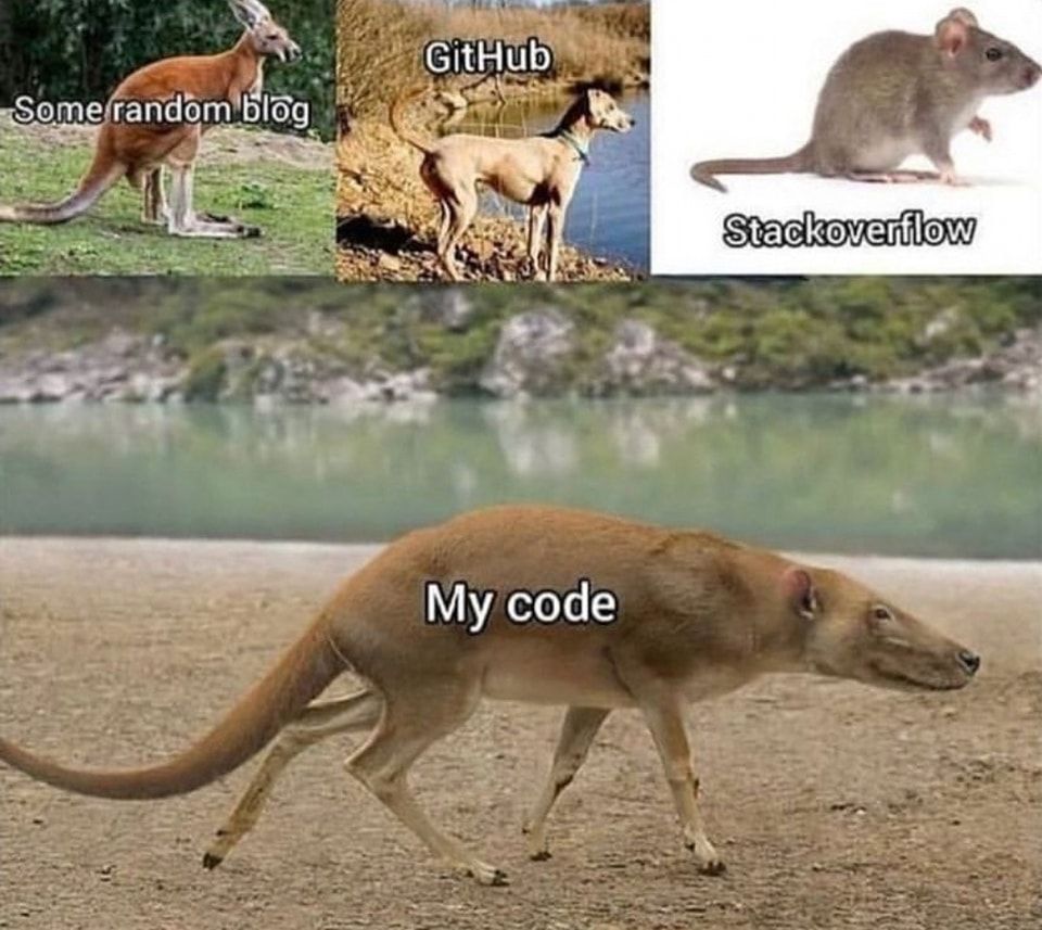 dev_humor's tweet image. #codingmemes #codingpics #codinghumor #codinginspiration 
devhumor.com/media/code-ani…