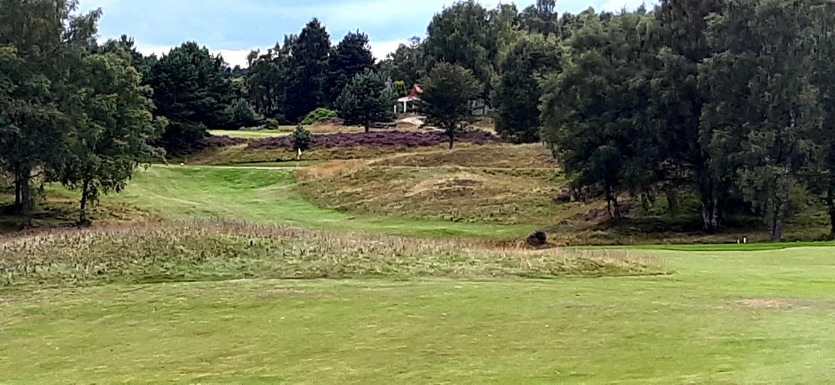 Jamie Gordon (@highlanderjamie) on Twitter photo 