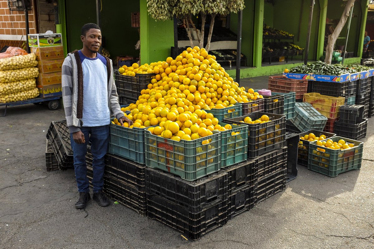 Mi Valedor tweet media