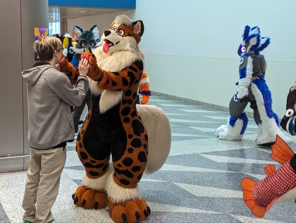Tempo_Arcanine's tweet image. Tempo brakes for high fives!  Had a ton of fun in the FC 2024 parade &amp;lt;3

Suit by @PJCatStudio

#FursuitFriday