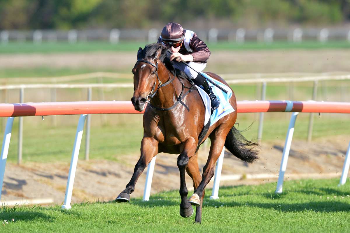 🎙️ 'This is a competitive race but FREELAND looks to have good upside. Maps on speed here and expecting a big bounce back in a good stable with an ideal gate' Gibbo has found a gem for today's RONDO Raceday. Jump over to the Gibbo's Tips page now 👉 bit.ly/3ghsCjl