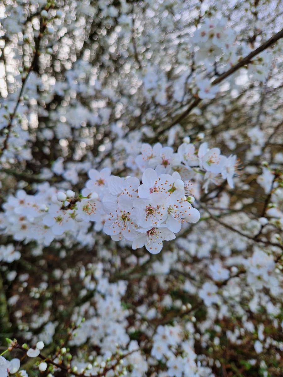 Katie Driver tweet media