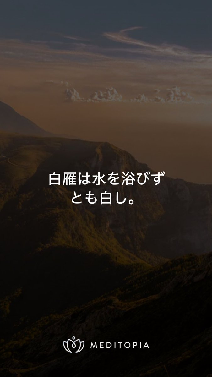 瞑想

静寂

◇

思考は
記憶
反復
反射

新しいものはない

◇

私は反復機械
条件付けされている

過去を握りしめ
今という外部刺激に反応している

それに
身を任すでなく
抵抗するでなく
正当化するでなく

ただ見ていることは出来ないか？
その過程が‘ある’事実を

#瞑想　#マインドフルネス
