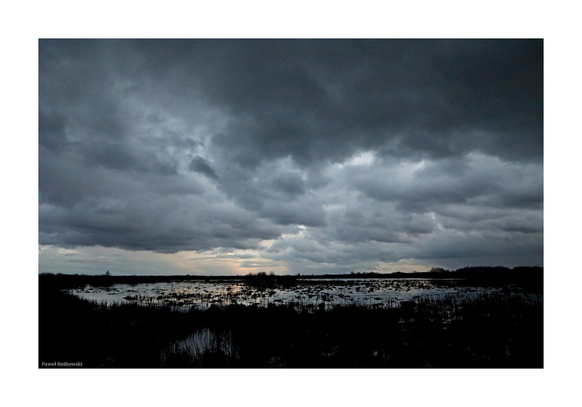 PaweRut98116786's tweet image. ...

#LandscapeforSaturday #Polesie #bogs #clouds #naturephotography #landscapephotography #ThePhotoHour #StormHour