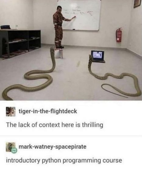 WholesomeMemes (@wholesomememe) on Twitter photo 