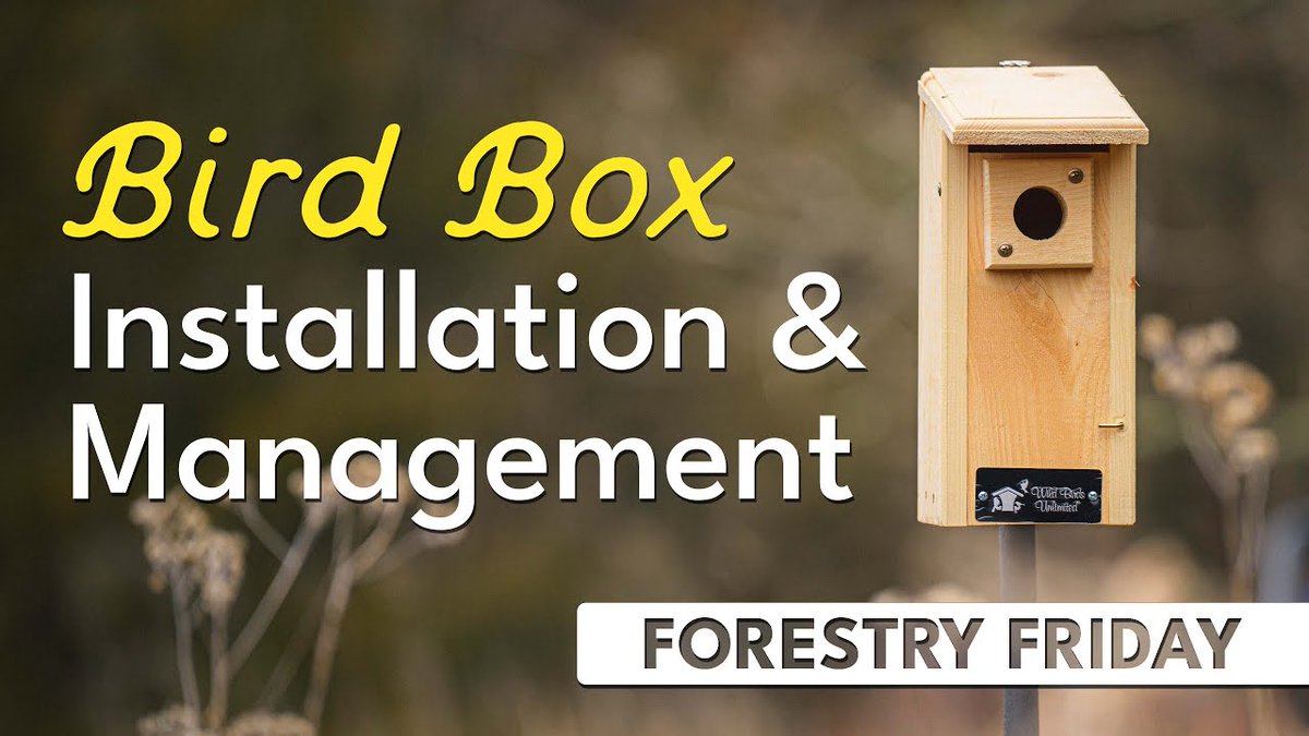 Happy Forestry Friday!

In this month's installment of our new video series about all things forestry, learn about bird box installation and management: bit.ly/49i1j4W