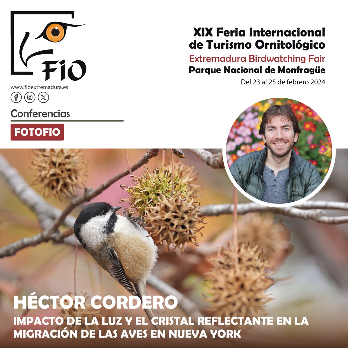 #FIO2024 ‘Impacto de la luz y el cristal reflectante en la migración de las aves en Nueva York’, por Héctor Cordero

✅ Sábado, 24 de febrero | 11:45-12:15

+ info: tinyurl.com/yxezaf9t

corderonature.com

<a href="/extremadura_tur/">Extremadura Turismo</a> 
<a href="/cultura_EXT/">Cultura, Turismo y Deportes</a>