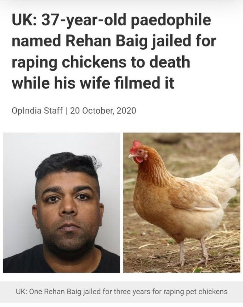 AzatAlsalim's tweet photo. MusIim man raped a chicken and his wife filmed him!

Sick culture! https://t.co/3KK5GRUaUR