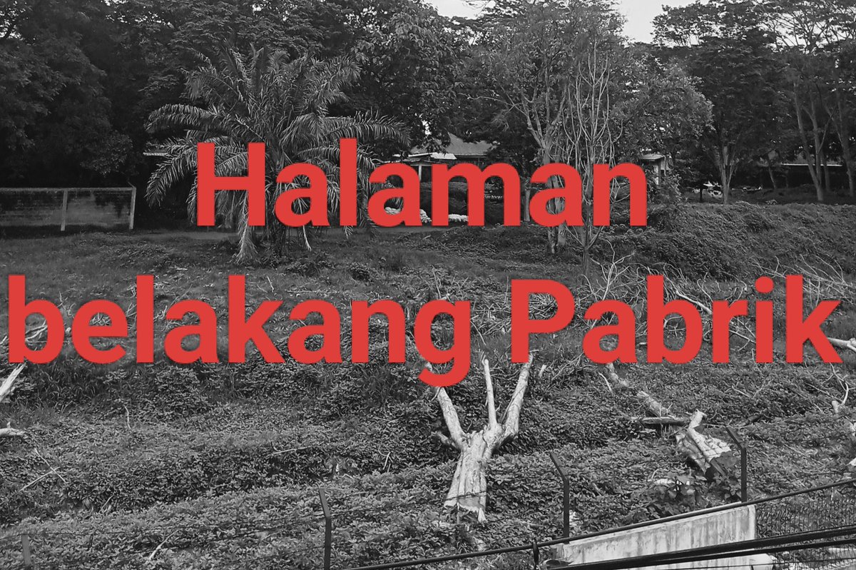 ceritasisikanan's tweet image. Halaman Belakang Pabrik. Beberapa entitas ghaib mendiami halaman belakang Pabrik. Sebuah utas horor singkat @bacahorror @bacahorror_id @IDN_Horor @ceritaht @nessiejudge @lenteramalam_id #threadhoror #threadhorror #horrorthread #ceritahantu