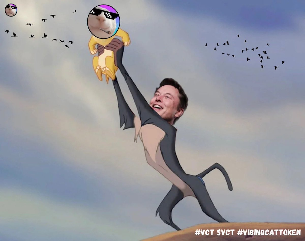 Steve__Crypto's tweet photo. @Ralvero 🚀 Attention  @Vibingcatt memecoin aficionados! VibingCatToken ($VCT) is rewriting the story with its explosive potential. Elevate your crypto game and invest in the future. 📈💙 #VCT #CryptoRevolution https://t.co/vBP0oF5nbs