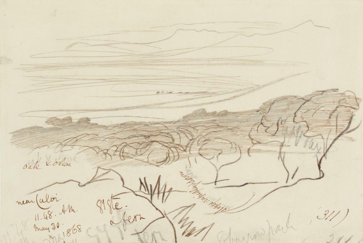 Edward_Lear_Art's tweet photo. Near Calvi https://t.co/nXyYBiWOKh https://t.co/dWq46psPN9