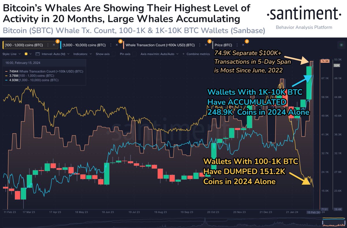 SantimentData's tweet photo. 😮 Independent from the impressive volume happening with #Bitcoin #ETF's, there has been a distinct flip in the level of $BTC's supply being held by different sized wallets:

🐳 1K-10K $BTC wallets: $12.95B added in 2024
🐋 100-1K $BTC wallets: $7.89B dropped in 2024

(Cont) 👇 https://t.co/BL7Mrj6kLq