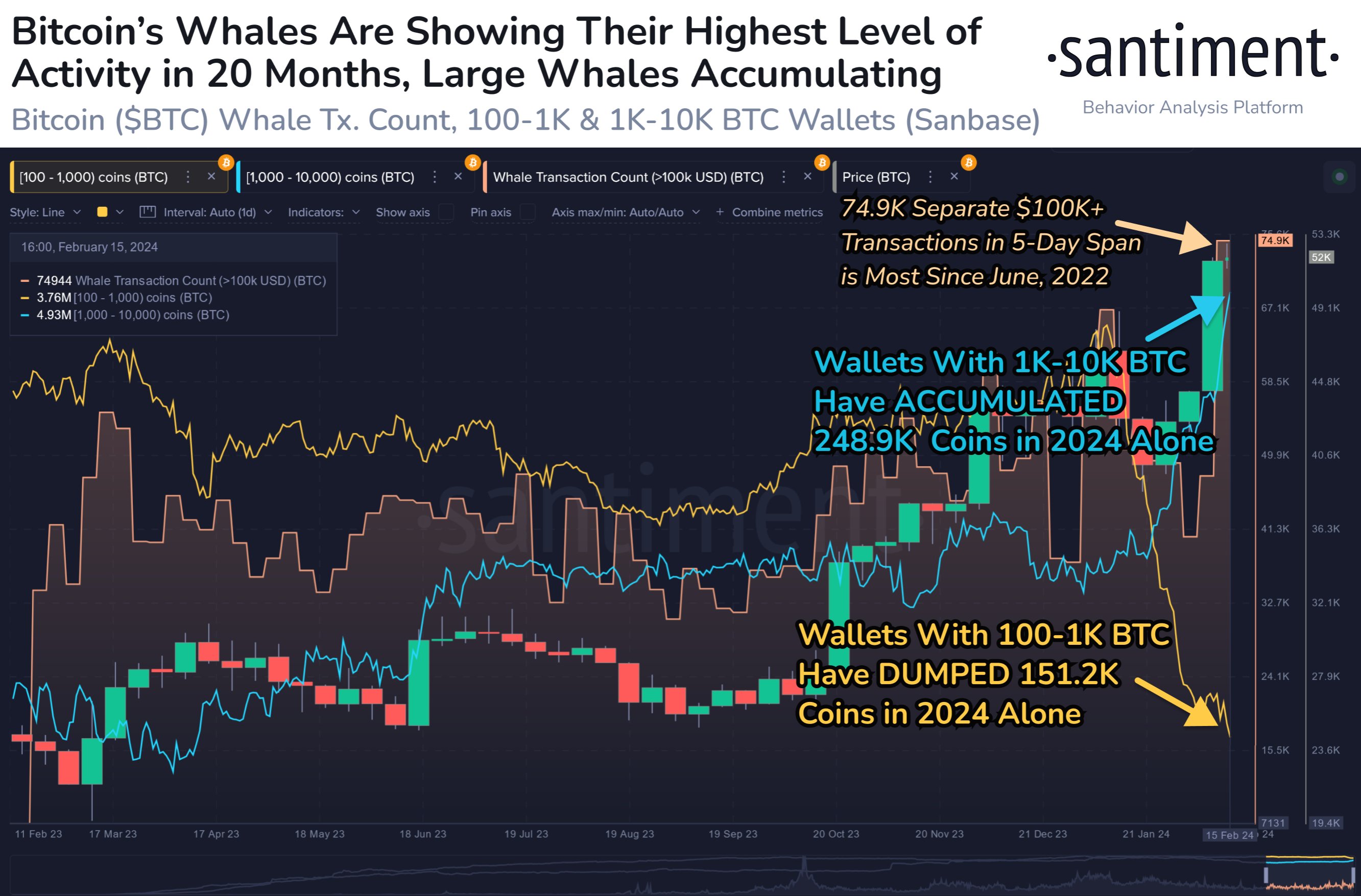 仅 2024 年，最大的比特币鲸鱼就吞噬了价值近 130 亿美元的 BTC：Santiment