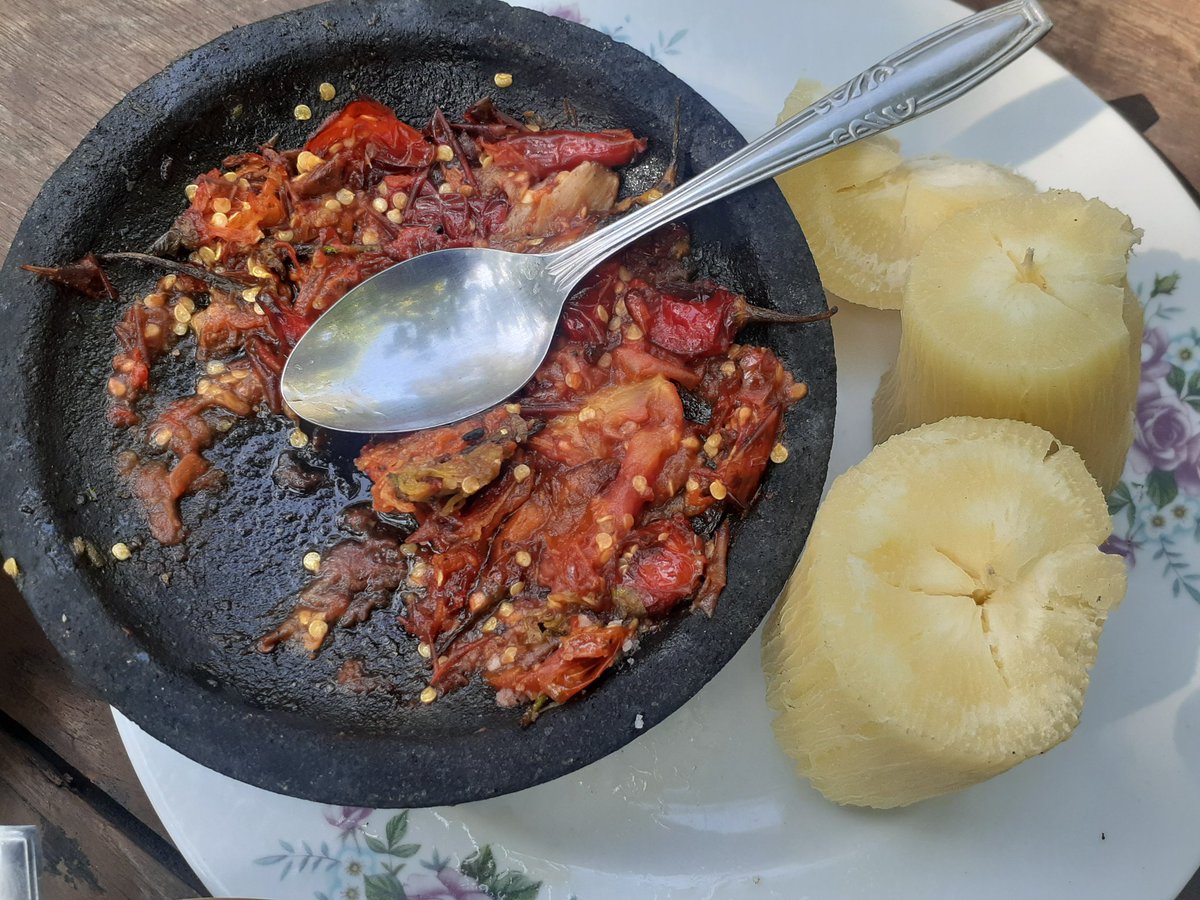 𝒅𝒆 𝑷𝒂𝒊𝒎𝒊𝒏 tweet media