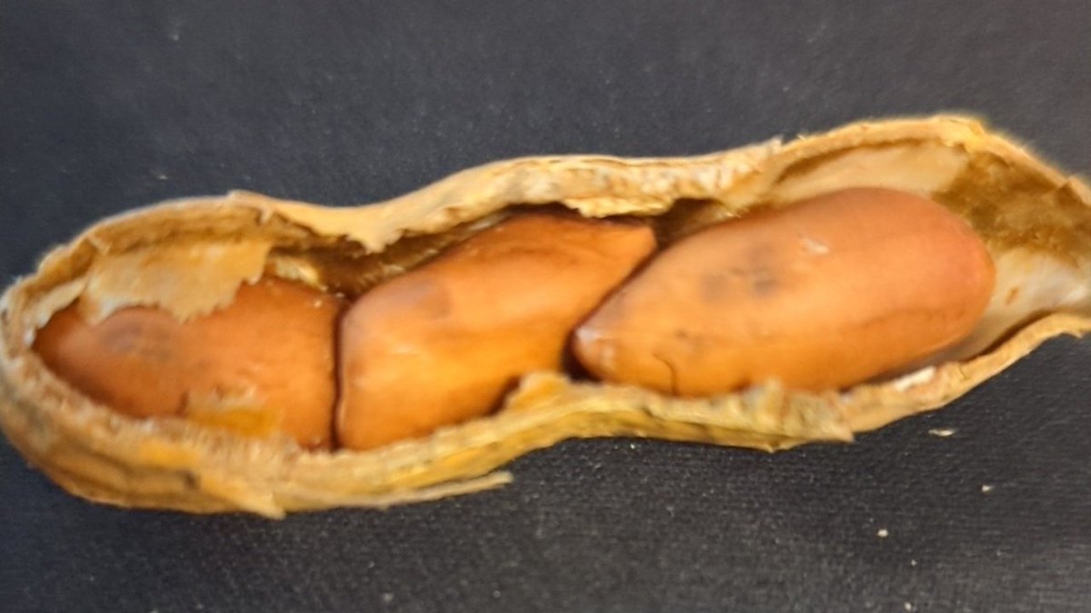 Omg, it finally happened