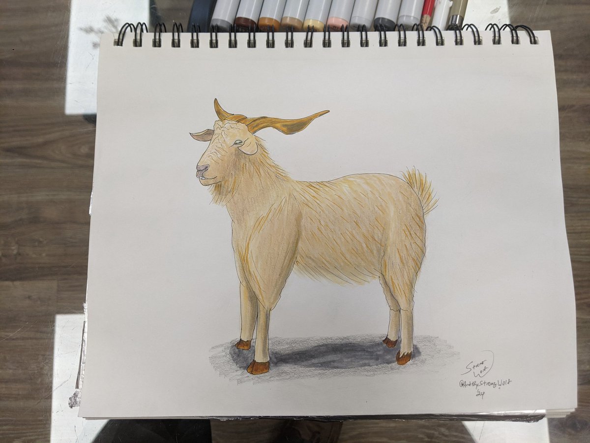 Portrait of a goat #petportrait #goat #curlyhorns #whitefur #tanfur #cashmere #cashmeregoat #kikogoat