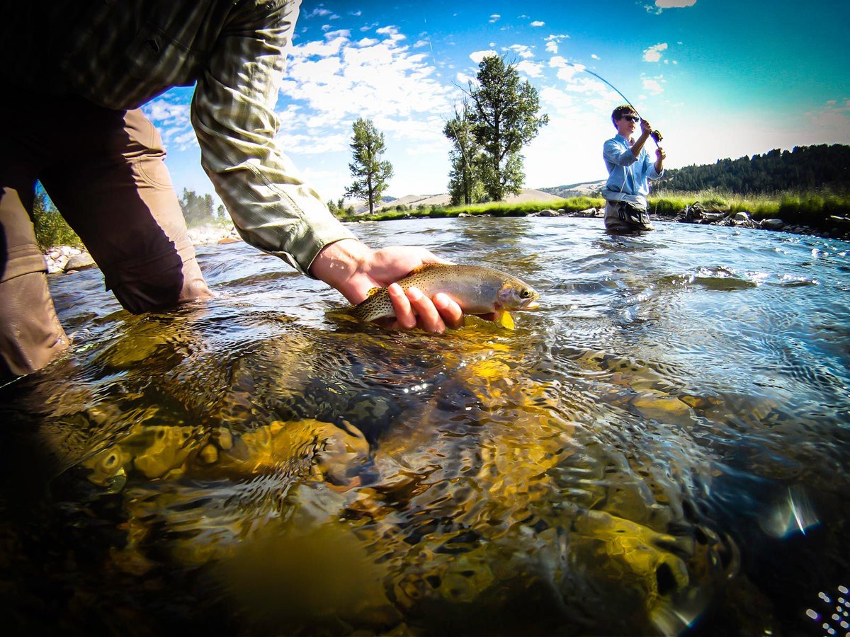 RockCreekRanch's tweet image. This year, our Book, Line &amp;amp; Thinker weekend celebrates literature and the fly fishing life with New York Times Bestselling author David Coggins, and his new fishing book, “The Believer: A Year in the Fly Fishing Life.”: bit.ly/4bpZtQK 

#flyfishing #springtrip #ranchlife