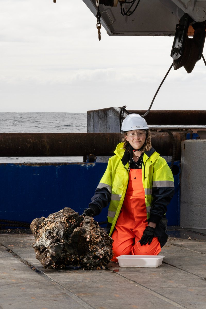 oceancensus's tweet photo. Day 10 of the Ocean Census Bounty Trough #expedition and it's all hands on deck 🚢  

Whether you're in the squid squad, the coral club or love sea spider surprises, our team has some potential new finds that will rock your boat  🪸     

#OceanCensus #TheNipponFoundation https://t.co/HdDvpAMJhs