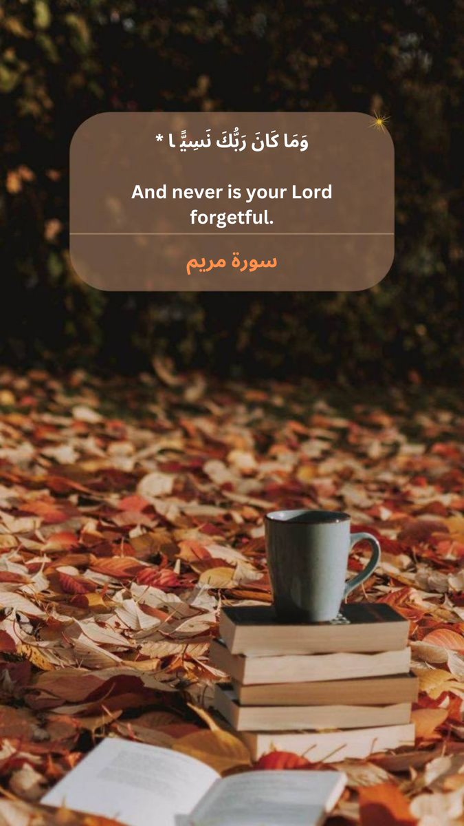 Ansha Zahra tweet media