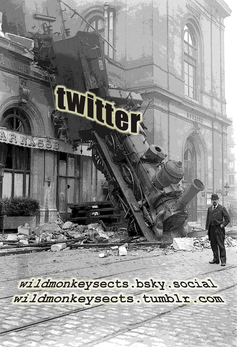 wildmonkeysects's tweet image. I only like twitter as a friend.