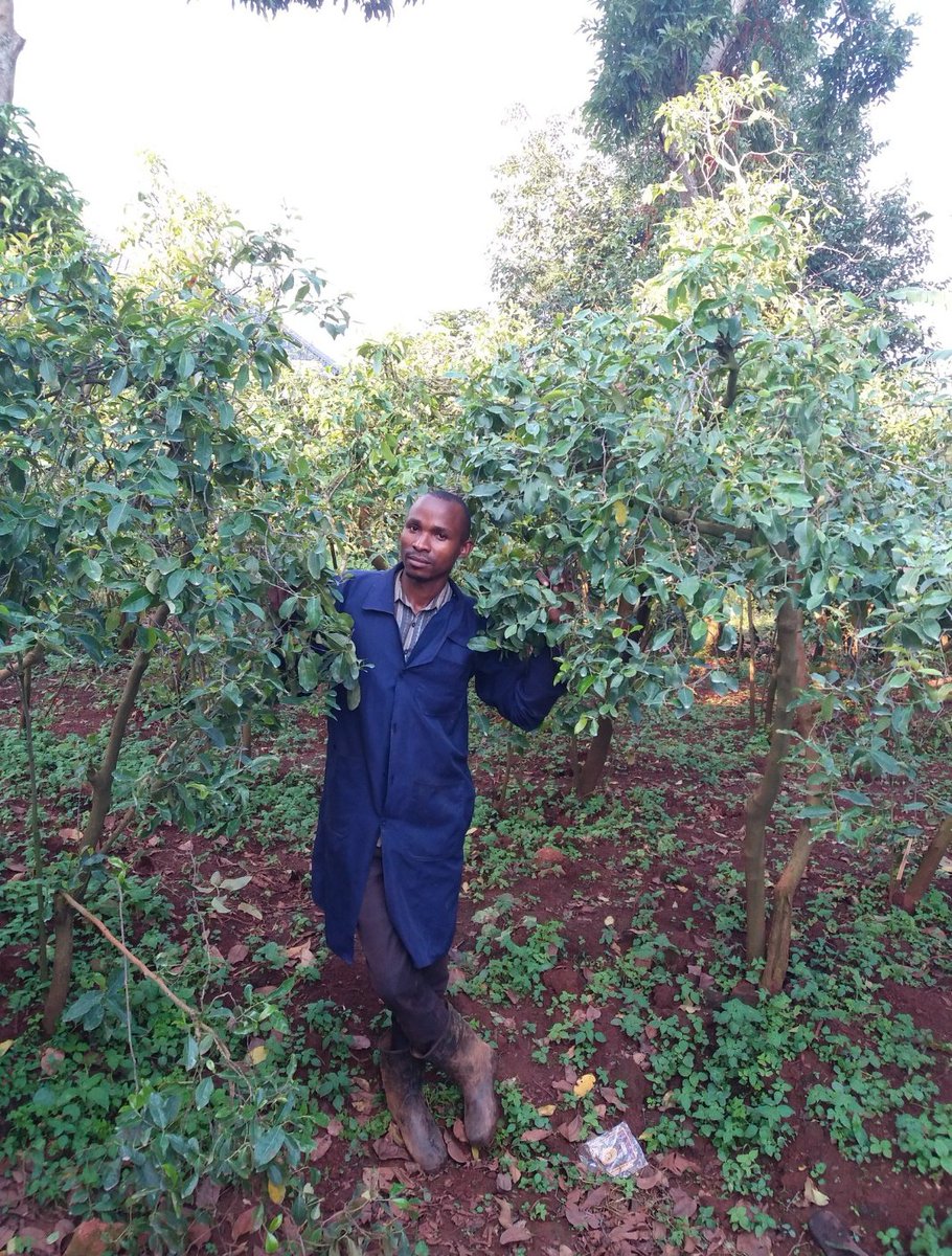 Young people in agriculture should be inspired by the possibilities in front of them. #CoffeeProduction
