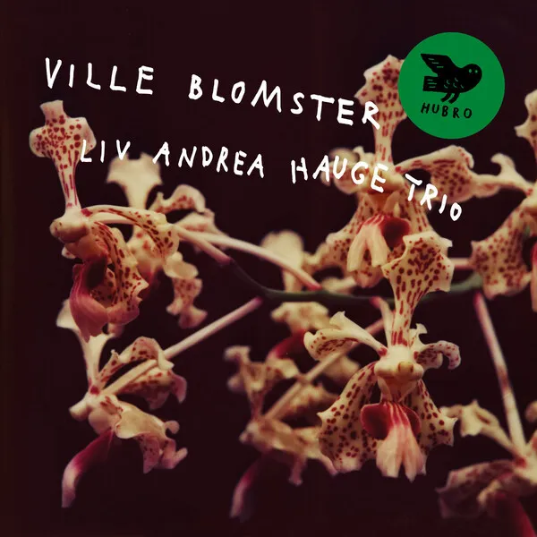 SiulOczoro989's tweet photo. Liv Andrea Hauge Trio: Ville Blomster - ★★★

*Favorite Song

> Det vokser ville blomster på månen

Other notable tracks

> Gullregn
> Asta
> Istid

#LivAndreaHaugeTrio #VilleBlomster #2024Music #NewMusic #NewRelease #ContemporaryJazz #Hubro https://t.co/2a3suIPvCk