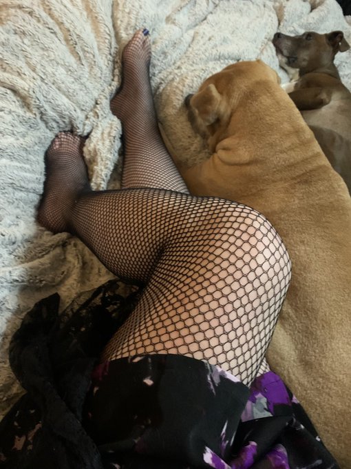 Fishnets anytime Idgaf https://t.co/DLeXDHODj6