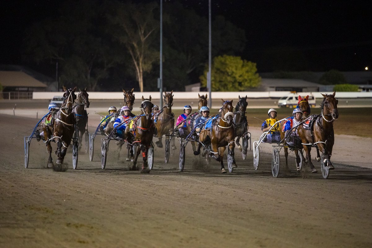 🏆 The Riverina is still cheering after Glenledi Elvis rocked the Murray Cup at last night's Albury Carnival of Cups for Blake &amp; Ellen Jones &amp; owner Michael Boots.

Enjoy these snaps of the $60,000 feature 😀

📸 Lianna Jaye Photography