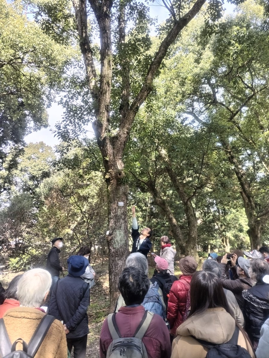 sakkany25's tweet photo. フウラン。写真だけだと全然おもんないと思うが、植物園職員の山本さんの #土曜ミニミニガイド は、いつも めっちゃおもろい❗😸
他にも いろいろ勉強になったおさらいは またいずれ🤗
#京都府立植物園 https://t.co/tB06BjXfOz