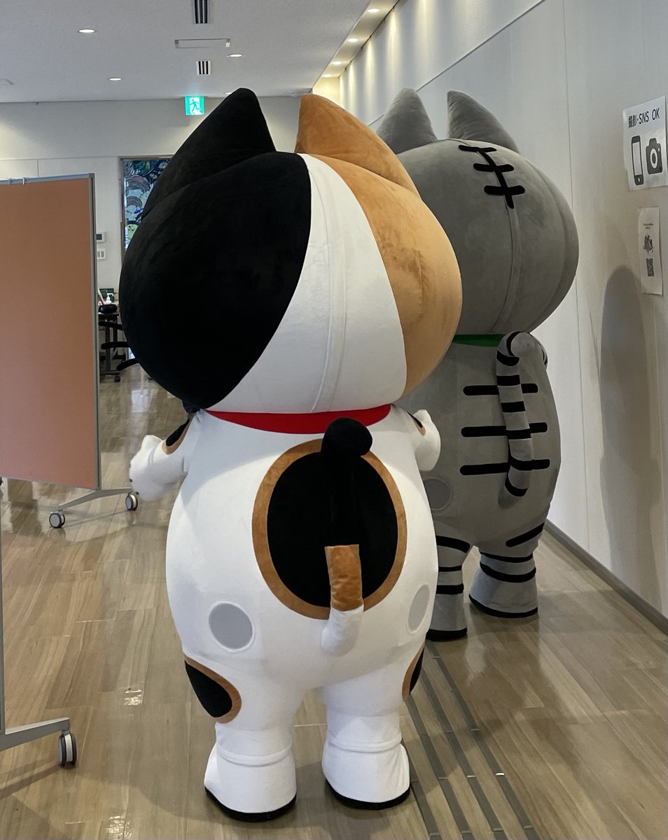 hit3love's tweet photo. 今日お披露目なのかな？ #イワさんとニッポちゃん https://t.co/2HGXbECzNF