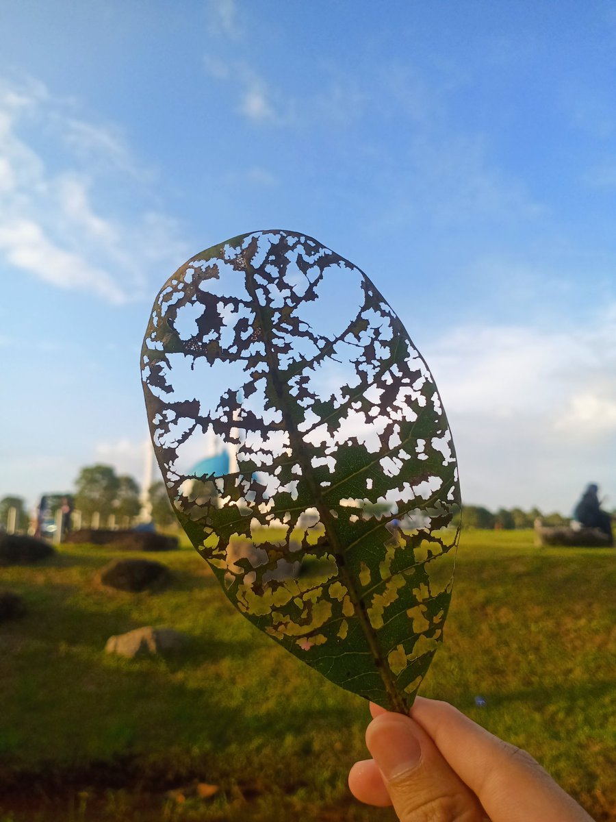 Live with wellness!
<a href="/Yogapetz/">Yogapetz</a> 
#Well
$WELL