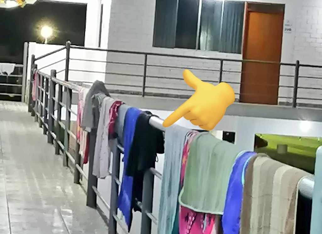 William Shiny Shorts tweet media