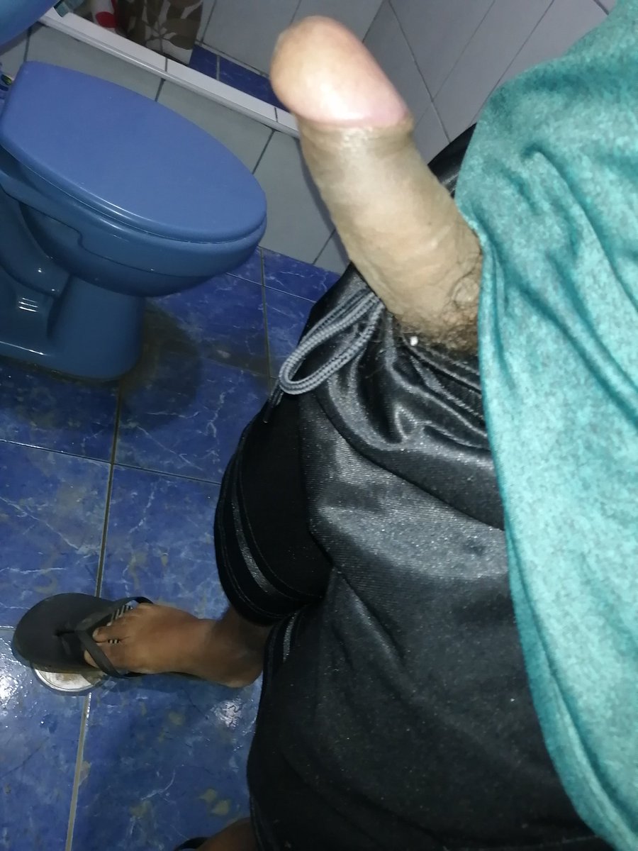 William Shiny Shorts tweet media