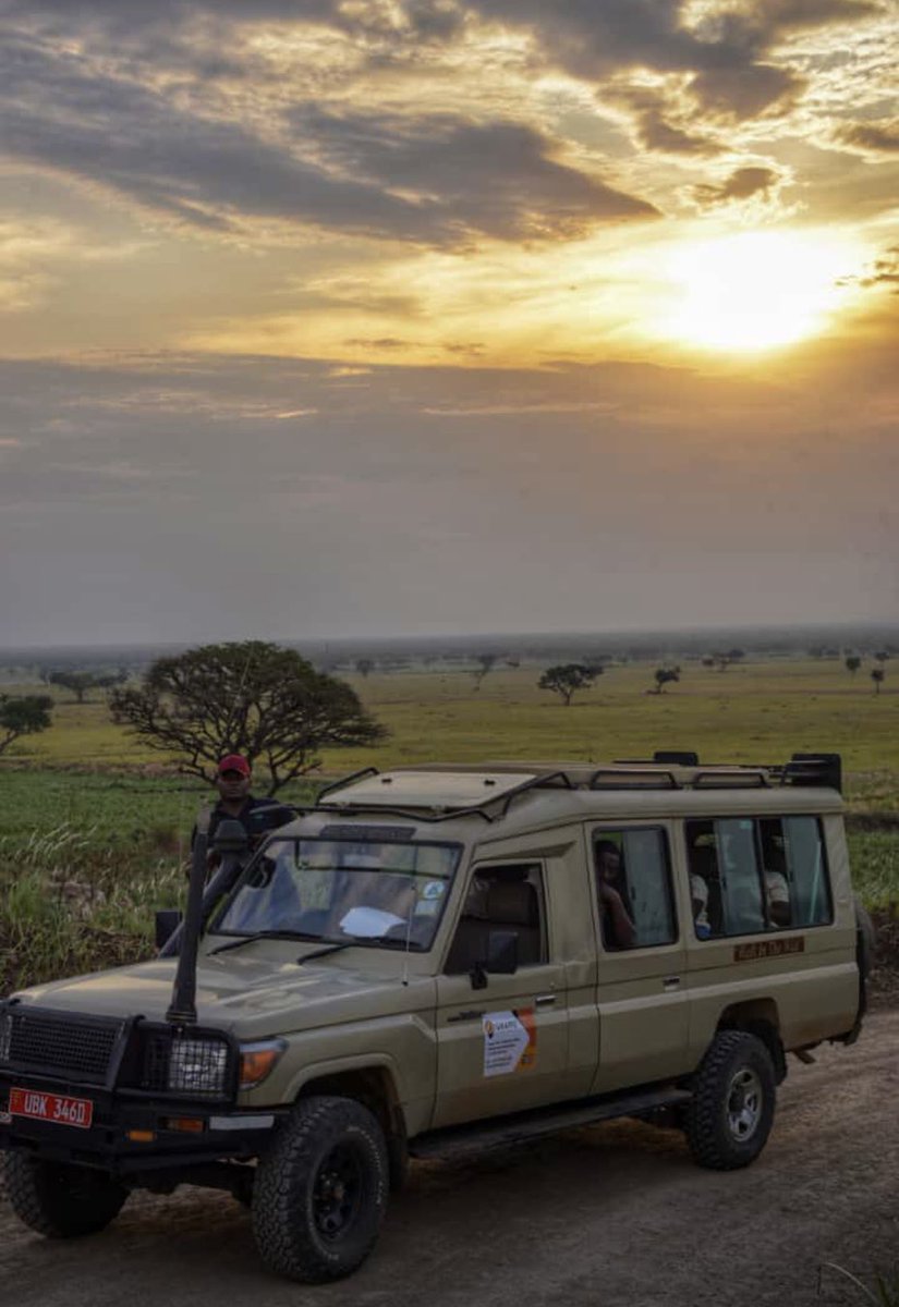 Your Day On Safari!

•Wake Up Call 5:00 a.m.

•Morning Game Drive 5:30 a.m.

•Breakfast 9-10:00 a.m.

•The Day is Yours

•Afternoon Game Drive 4:00 p.m.

•Evening at Camp 8:00 p.m.

#UgandaTours #SafariinUganda #Guide2Africa #WildlifeSafari #AdventureTravel #ExploreAfrica