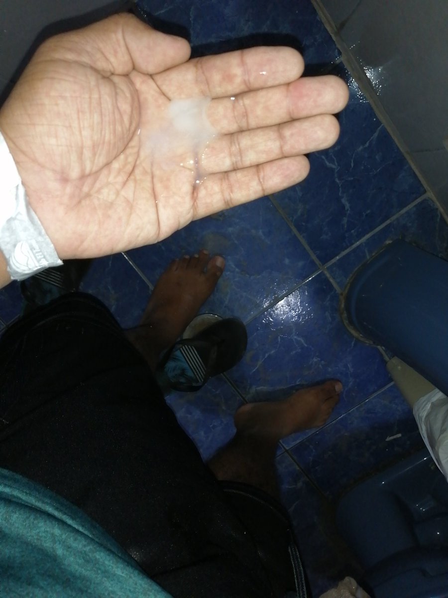 William Shiny Shorts tweet media