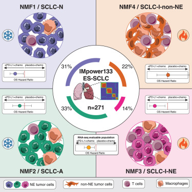 Online Now: Immune heterogeneity in small-cell lung cancer and vulnerability to immune checkpoint blockade dlvr.it/T2sDL6