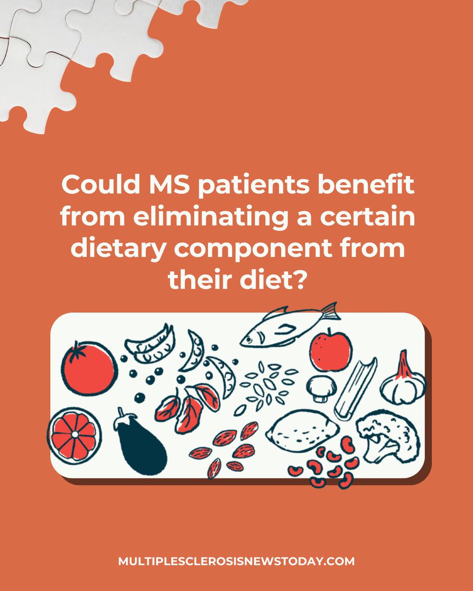 Though the component is the most widely consumed food staple globally, one study has provided “the first clear evidence” that it can influence MS. See more: buff.ly/3OITUmM 

#ms #multiplesclerosis #msresearch #msnews #msdiet