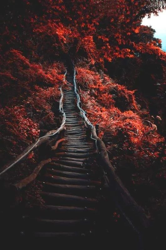 PropositoyVida's tweet photo. "El mejor momento para plantar un árbol fue hace 20 años. El segundo mejor momento es ahora".

- Proverbio chino https://t.co/5zJZDoc8oN
