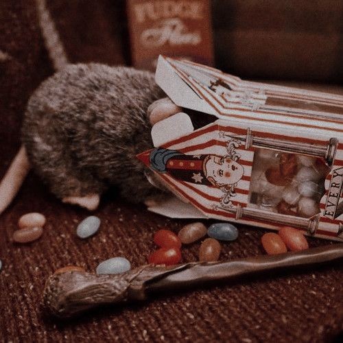 𝗥𝗢𝗡 𝗪𝗘𝗔𝗦𝗟𝗘𝗬. (@weasleychss) on Twitter photo 