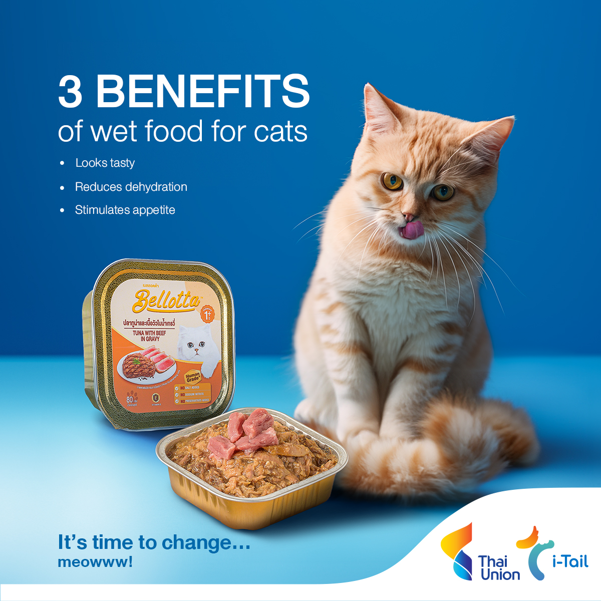 Thai Union believes that pets are family members. For that reason, we have selected ingredients with extra care for our furry friends to ensure they are eating the highest quality and best tasting wet food. #ThaiUnion #HealthyLivingHealthyOceans #iTail #Bellotta