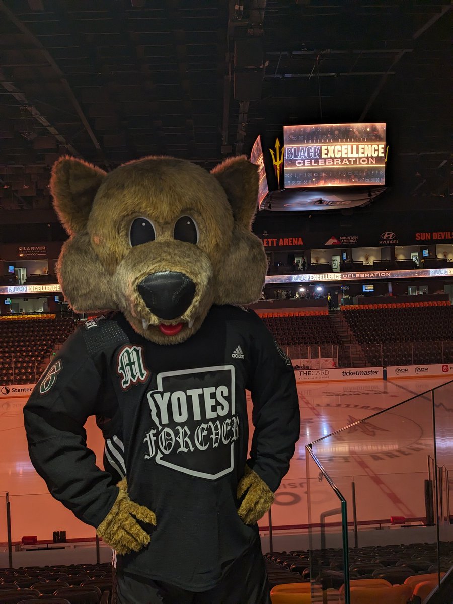 Our jersey collab with <a href="/ddotjr5/">Deon Baker Jr.</a> goes hard 🔥🔥🔥
#YotesForever