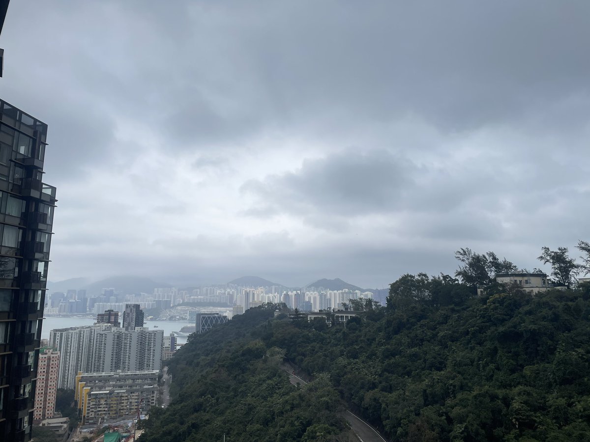愛吃草莓的小橙子 (互fo) tweet media