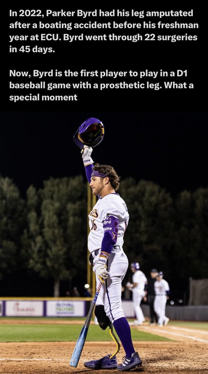 NET Elite Baseball tweet media