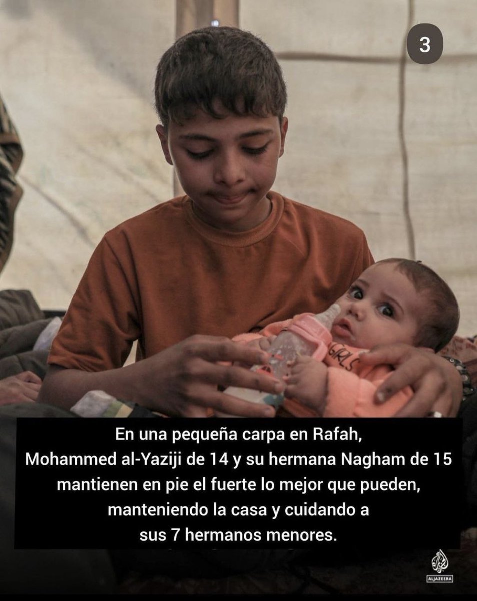 Susana Giacaman tweet media