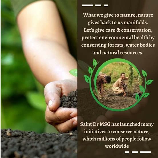 Elevate your celebrations with the meaningful gift of planted trees, echoing the inspiration of Saint Ram Rahim Ji. Dera Sacha Sauda volunteers plant saplings and extend nurturing care to these green companions. #GiftOfTrees #NatureCampaign