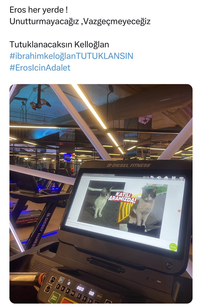 KCP1905's tweet photo. #ibrahimkeloğlanTUTUKLANSIN https://t.co/7CMqtinrgy